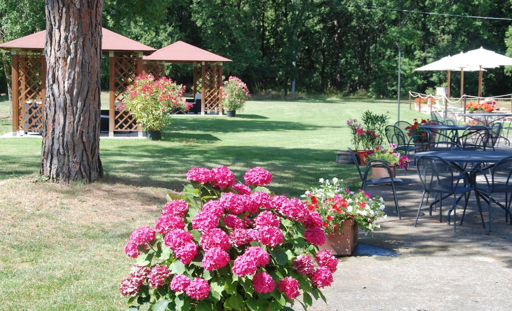 Agriturismo Antica Riserva Castiglione del Lago Zewnętrze zdjęcie